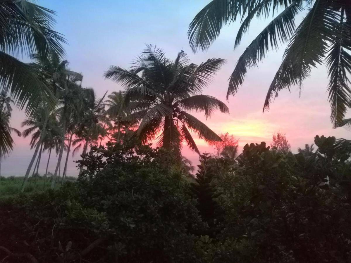ホテルBlue Waves Beach Residency バルカラ エクステリア 写真